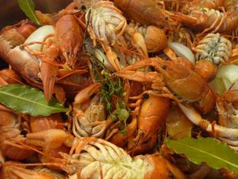 Hotel Kyriad - Grenoble Le Fontanil