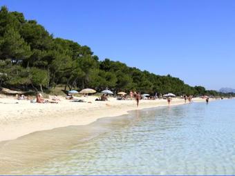 Ver fotos