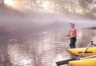 Best Western Plus Johnson City Hotel & Conference