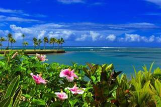 Hotel Naviti Resort Fiji