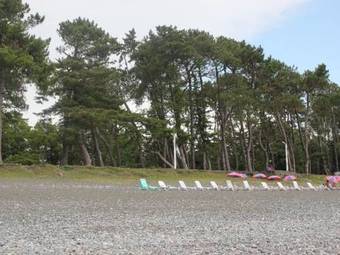 Apartment Agmashenebeli