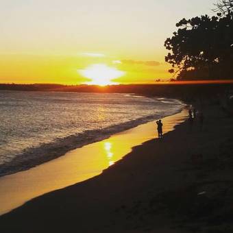 Hostal Orqu�dea Caf�