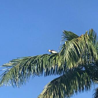 Agroturismo Casa De Campo Sao Paulo