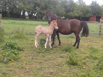 Apartamento Sandaasen Ecological Farm