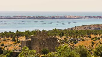 La Bergerie Du Chateau De Fitou