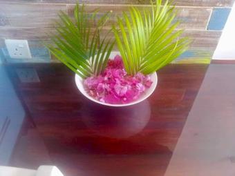 Bed & Breakfast Stella Rina