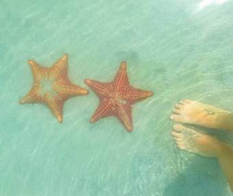 Bed & Breakfast Casa Del Mar