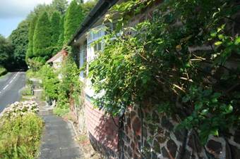 Hostal The Bark House