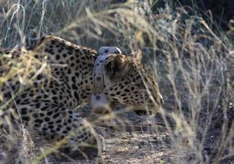 Lodge Daberas Guest Farm