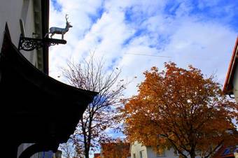 Hotel Am Hirschgarten