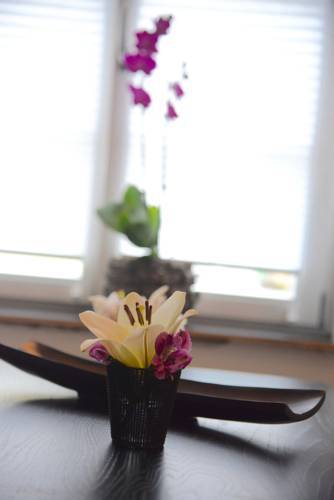 "das Seehaus" By Lilianfeld Apartments