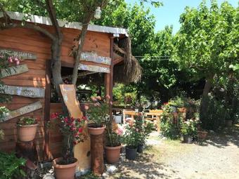 Hostal Blue Paradise Pension