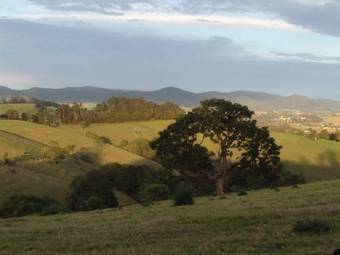 Bed & Breakfast Fernbrook Lodge