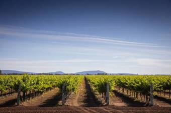 Apartamentos Quest Griffith