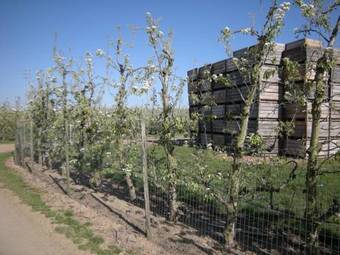 Bed & Breakfast De Verborgen Parel