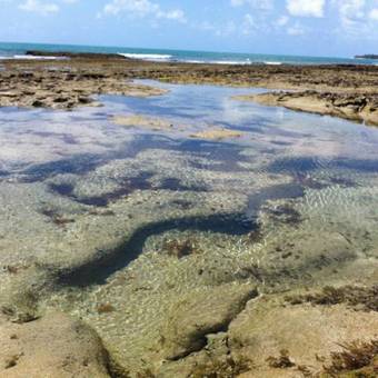 Apartamento Flats No Carneiros Beach Resort