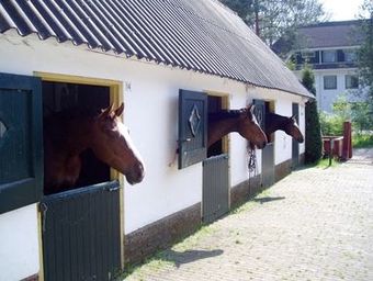 Fletcher Hotel De Mallejan