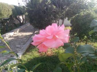 Apartamentos Ku?a Za Odmor Laura