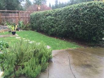 Red Roof Inn Cottage