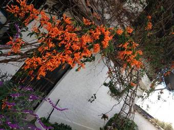 Hotel Mansion Samzara Hosteleria