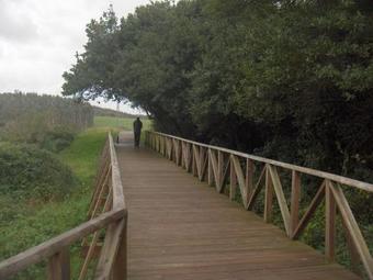 Apartamentos Playa Galizano