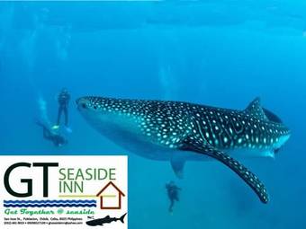 Posada Gt Seaside Inn