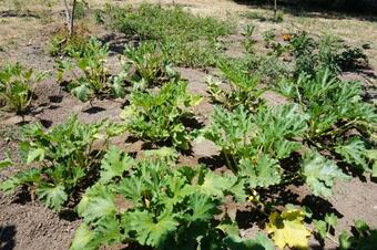 Hostal Chalantra Residence