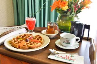 Hotel Plaza Del Libertador