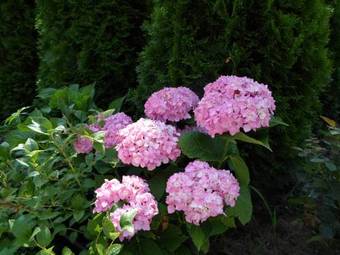 Hostal Pacsirta Vend�gh�z Egerszal�k