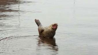 Landakot Holiday Home