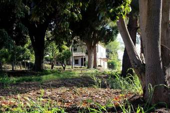 Apartamento Tenuta Conte Ruggero