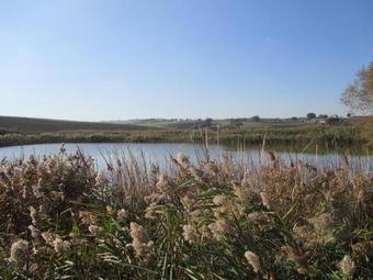Agroturismo Fattoria Di Vaira