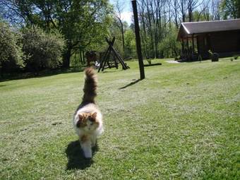 Agroturismo Sodyba Duburiai