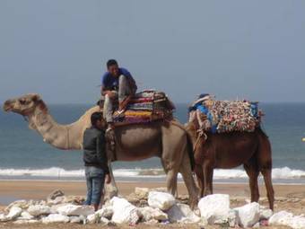 Bed & Breakfast Sidi Kaouki Al Vent