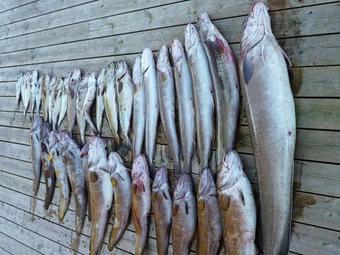 Holiday Home Goddevegen