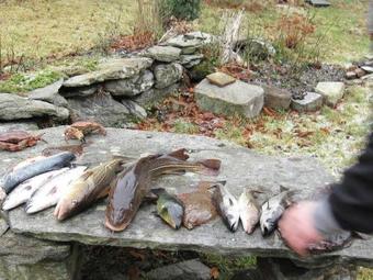 Holiday Home Vormestrandvegen