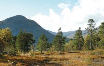 Studio Holiday Home In Hovden