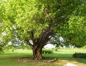 Bed & Breakfast La Rosa De Los Vientos