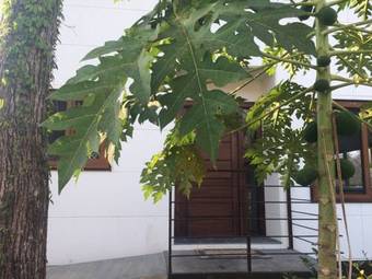 Apartamentos Gemini Villas