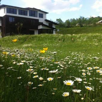 Hostal Pensiunea Talhaus