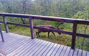 Three-bedroom Holiday Home In Lofsdalen