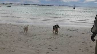 Hostal Taste Of Heaven