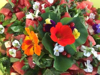 Apartamento Ferienwohnungen Blaue Maus Mirow