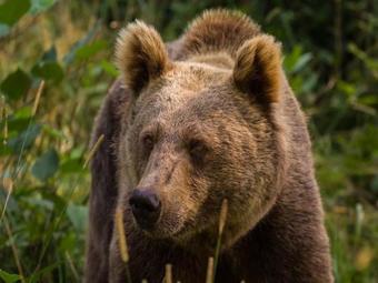 Apartamento Haus Sum