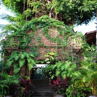 Hotel White House Beach Resort & Spa