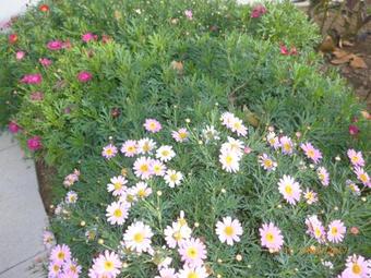 Hotel Kolpinghaus Spittal