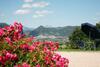 Agroturismo Vacanze Casalta