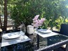 Eney Hotel