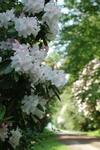 Holiday Home Gites Manoir Du Ranleon - 3
