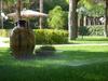 Hotel Club Astor